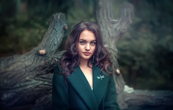 Forest, look, trees, model, portrait, makeup, hairstyle, brown hair