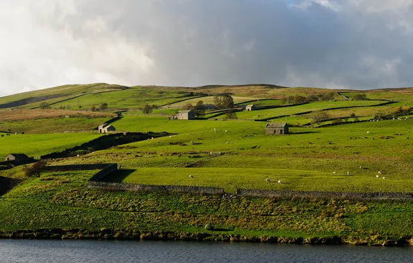 The sky, grass, clouds, trees, house, river, hills, sheep