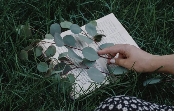Picture wallpaper, grass, macro, mood, book, hand, branch, lawn
