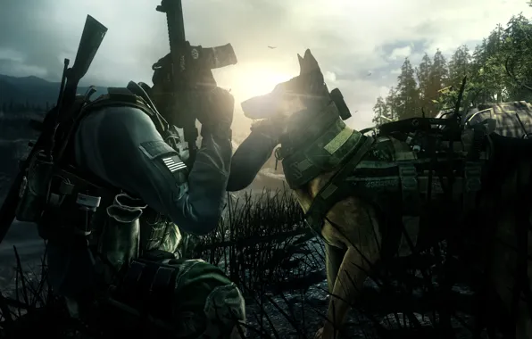 Picture gun, pistol, Call of Duty, game, soldier, weapon, dog, man