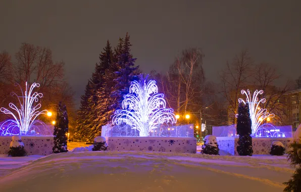 Winter, the sky, snow, trees, the city, new year, the evening, lighting