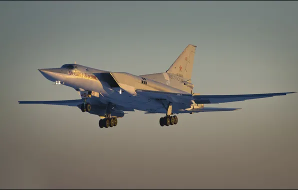 Picture bomber, Tu-22M3, far