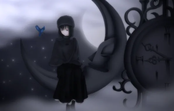 Picture girl, night, the moon, watch, anime, art, bird, to know alice