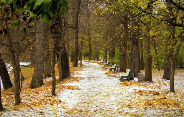 Picture autumn, snow, landscape, Park, October, alley, the first snow