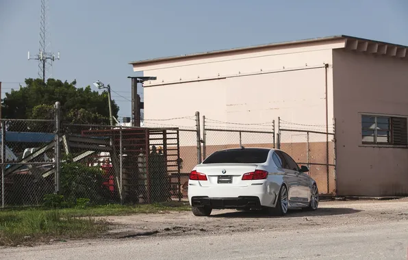 White, bmw, BMW, shadow, white, rear view, f10, 550i