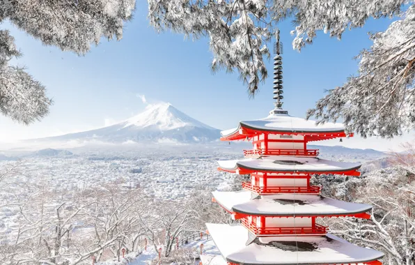 Winter, snow, trees, branches, mountain, the volcano, Japan, Fuji
