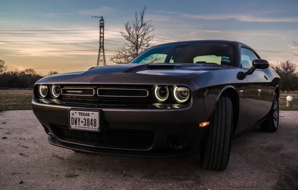 Picture Black, Dodge, Texas, Challenger