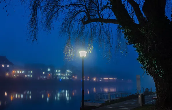 Trees, night, lights, fog, river, home, Germany, lights