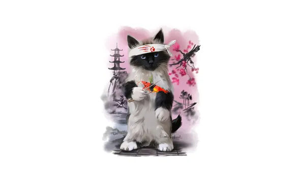 Picture cat, sticks, Japan, headband, cancers