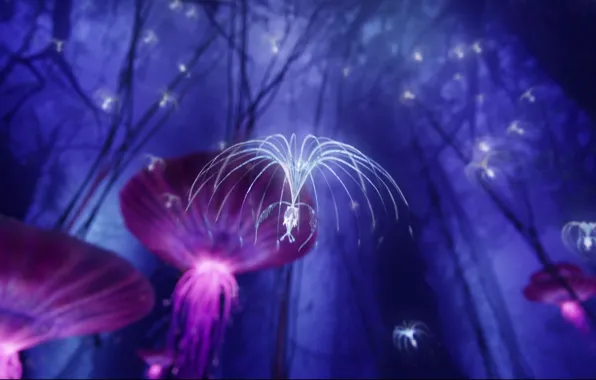 Fiction, the film, Wallpaper, avatar, Pandora