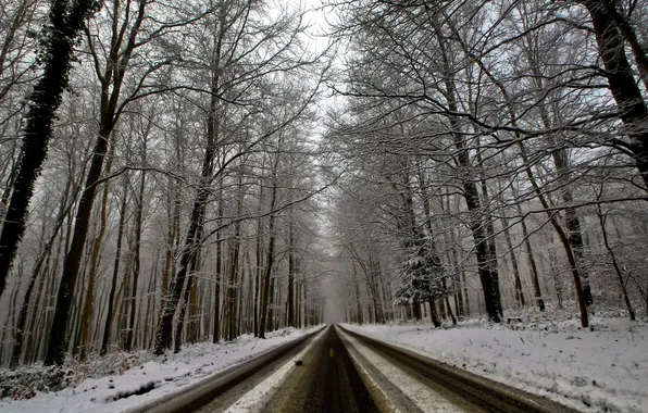 Winter, road, forest