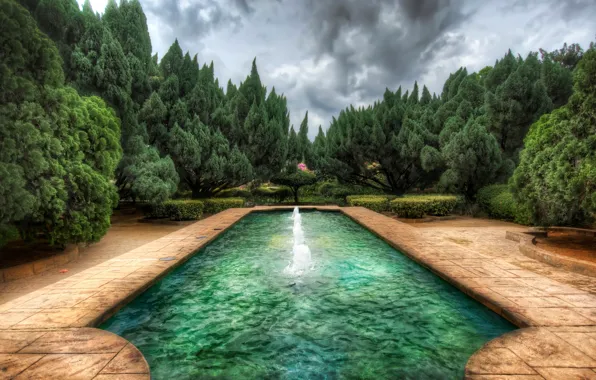 Picture water, clouds, trees, style, pool