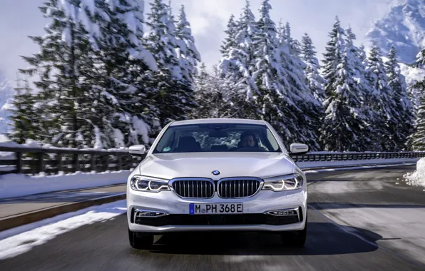 Picture road, white, trees, BMW, sedan, front view, hybrid, 5