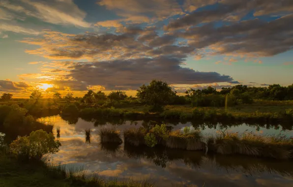 Trees, sunset, lake, reflection