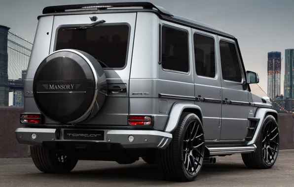 Picture AMG, tuning, Mansory, G65