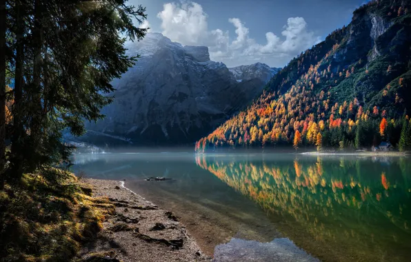 Picture forest, sky, trees, landscape, nature, water, autumn, mountains