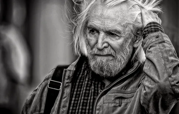 Picture portrait, actor, people's artist, Stanislav Lyubshin