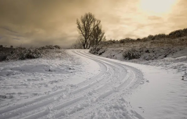 Winter, road, the sky, snow, trees, sunset, traces, nature