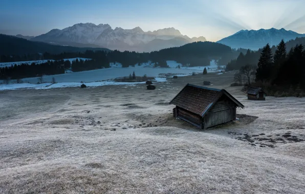 Cold, winter, frost, field, forest, the sky, grass, snow