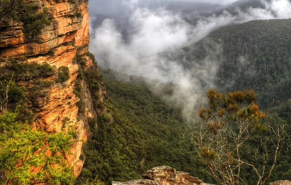 Clouds, trees, mountains, stones, rocks, Australia, Sydney, the bushes