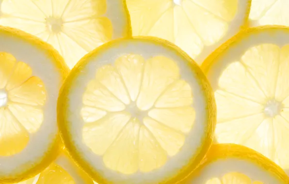 Picture lemon, food, slice, citrus