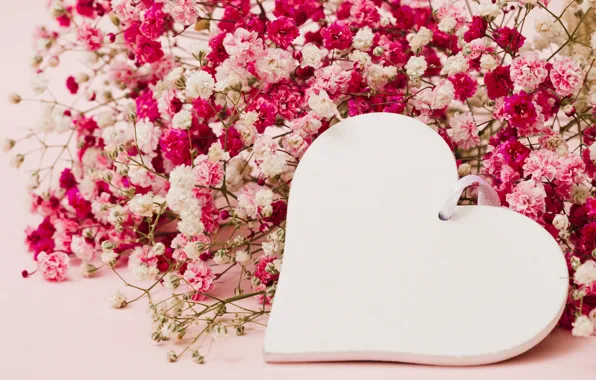 Picture love, flowers, background, pink, heart, love, heart, pink