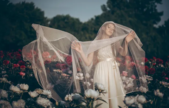 Flowers, mood, the bride, veil, peonies, wedding dress