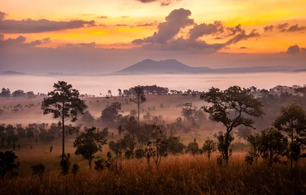 Field, the sky, clouds, trees, landscape, sunset, mountains, nature