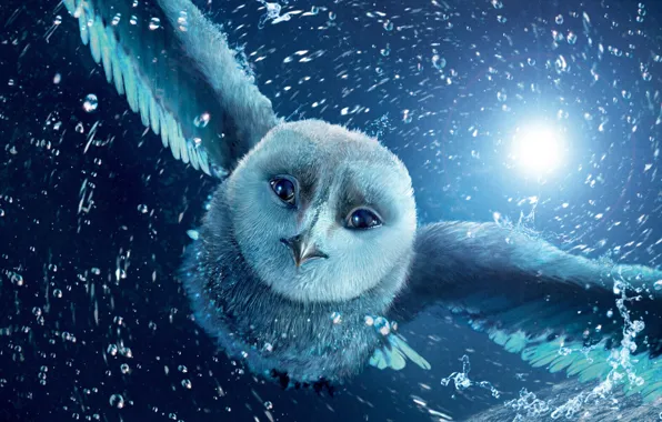 Flight, night, owl, cartoon
