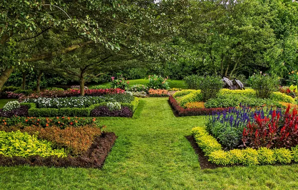 Grass, nature, photo, lawn, garden, USA, the bushes, Longwood