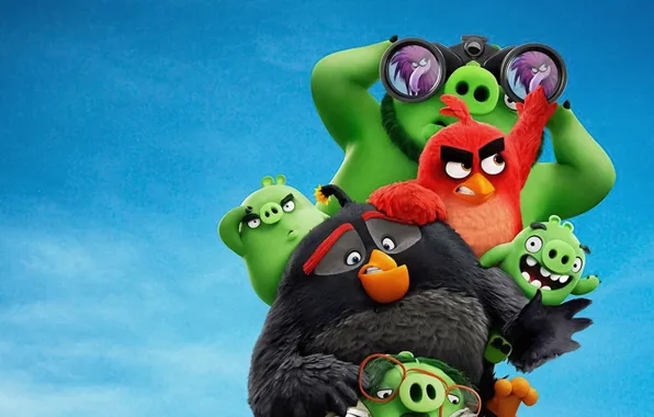 Wallpaper birds, cartoon, binoculars, pigs, Movie, The Angry Birds ...