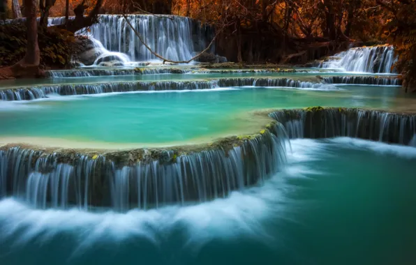 Picture nature, rocks, waterfall, jungle