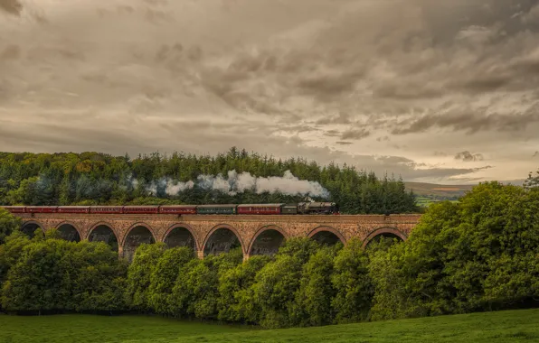 Forest, nature, England, train, the engine, railroad, Cornwood viaduc