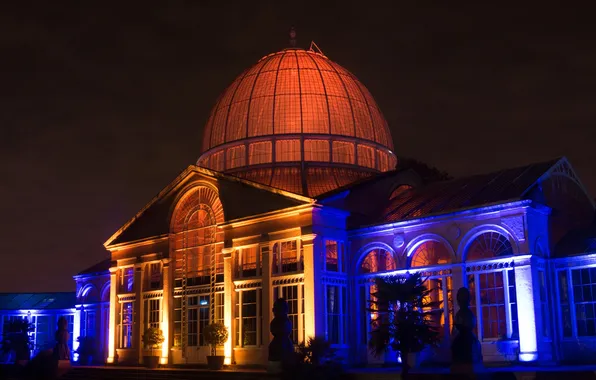 The sky, night, the city, lights, house, the dome