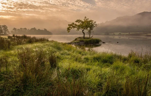 Trees, sunset, river
