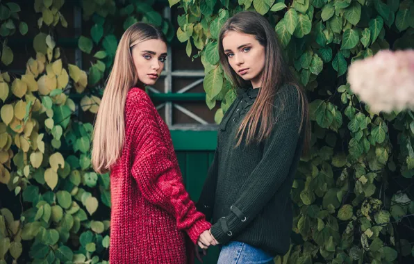 Leaves, two girls, friend, Konstantin Kokin