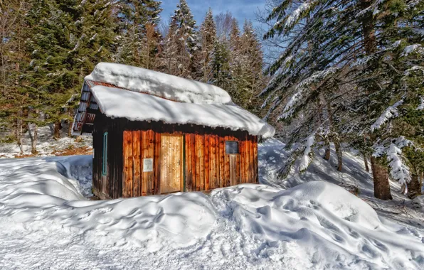 Picture forest, snow, mountains, France, house, Massif des Bauges