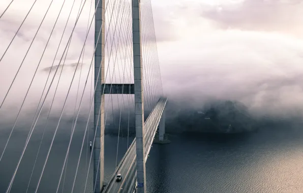 Car, city, forest, sea, ocean, landscape, bridge, water