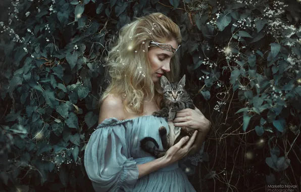 Picture cat, look, girl, dress, photographer Marketa Novak, Marie Kruzikova Rencova