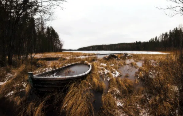 Picture nature, lake, boat