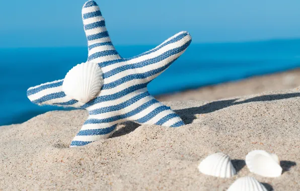 Sand, sea, beach, shell, summer, beach, sea, blue