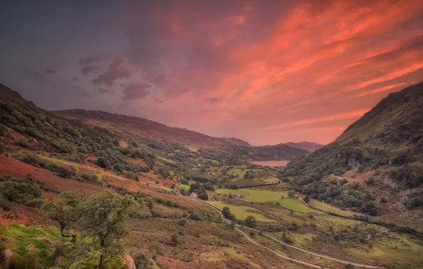 Sunset, valley, farm