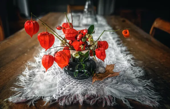 Treatment, bouquet, physalis