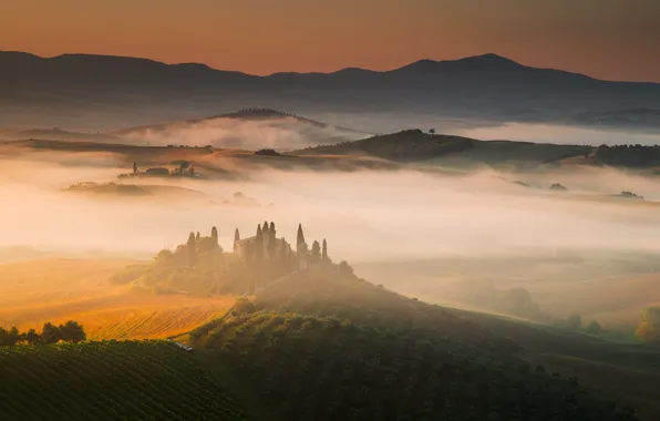 Fog, sunrise, hills, field, home, morning, Italy, the vineyards
