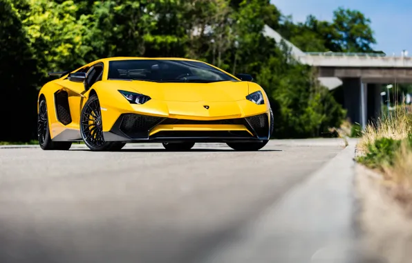 Picture Lamborghini, Yellow, Aventador, Superveloce, LP-750