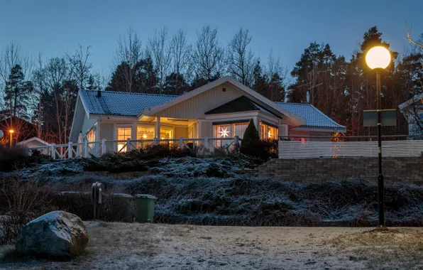Winter, trees, lights, home, the evening, lights, Sweden