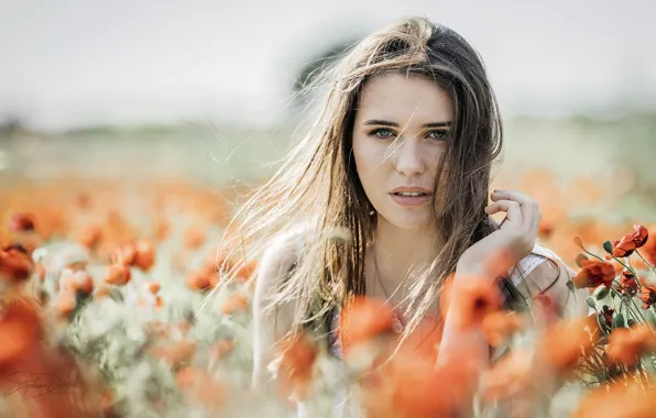 Girl, brown hair, photo, photographer, blue eyes, model, bokeh, lips