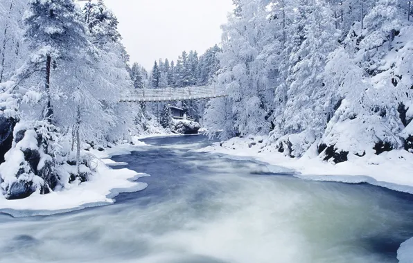 Winter, frost, snow, trees, bridge, river