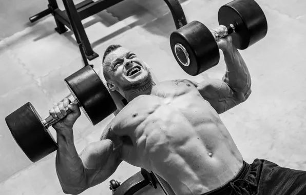 Tattoo, muscle, muscle, tattoo, dumbbells, gym, bodybuilder, dumbbells