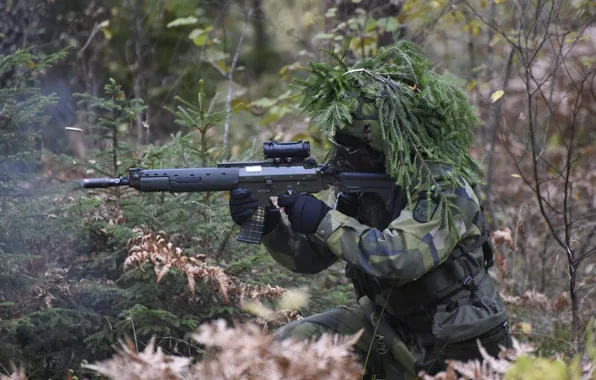 Picture forest, weapons, soldiers, Swedish Army